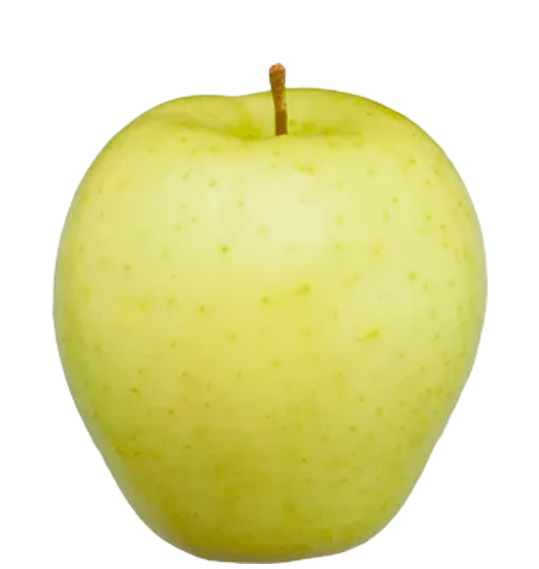 apple-golden-delicious