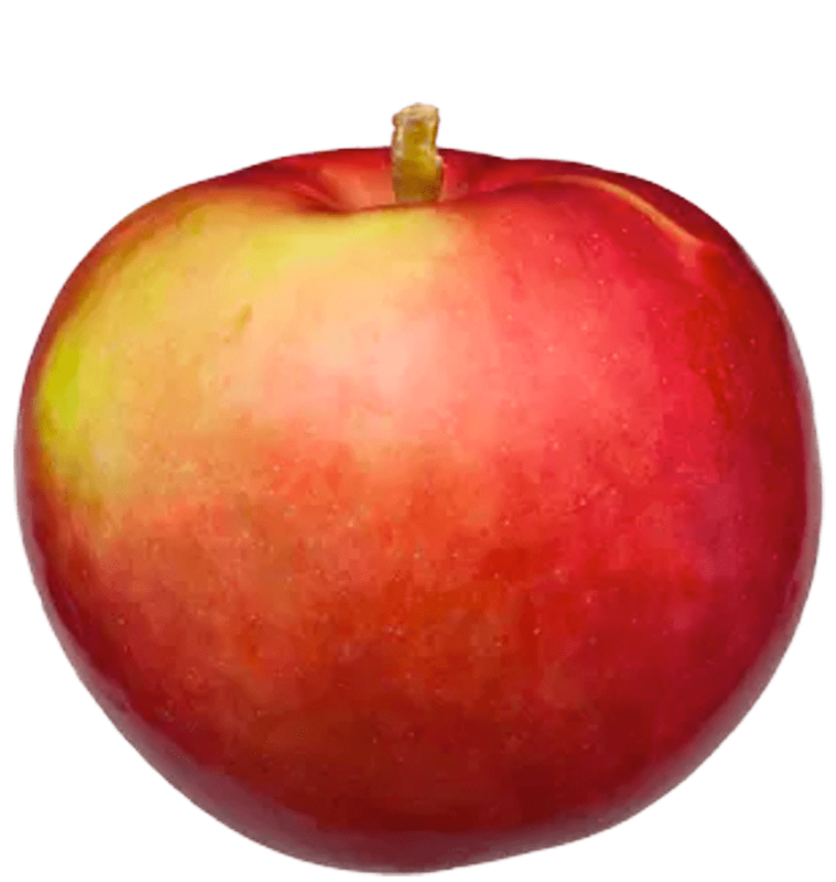 apple-mackintosh